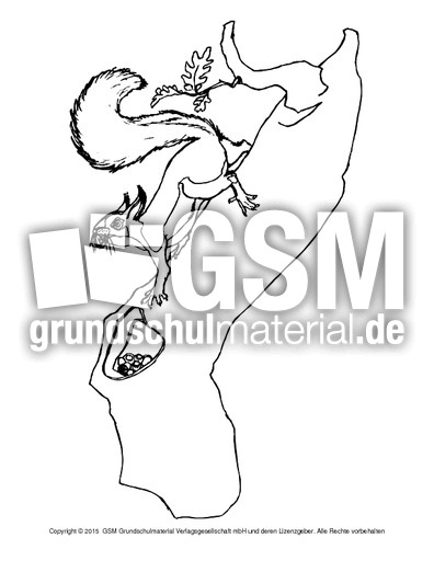 Ausmalbild-Eichhörnchen-A 13.pdf
